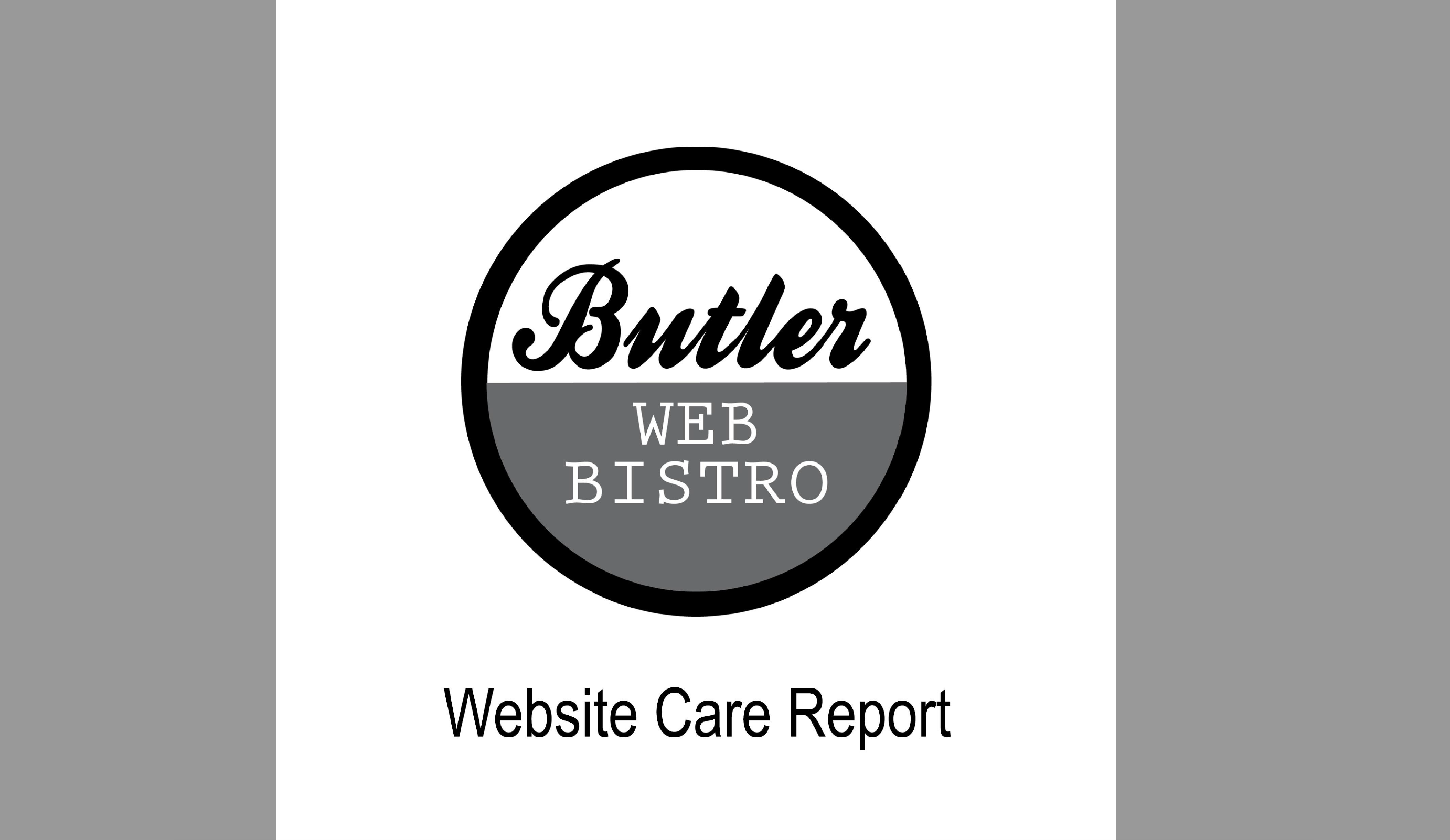 Butler Web Bistro web design - website website maintenance care report