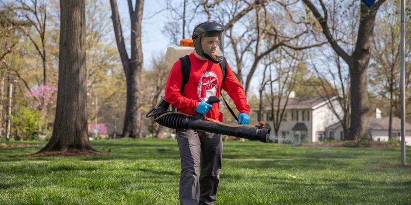 PP-mosquito-services-header